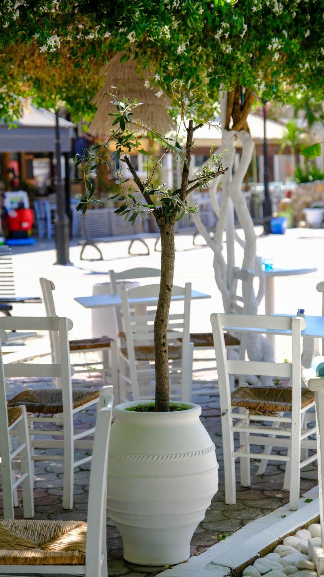 Cocoon Hotel-Beach Bar Сарти Экстерьер фото