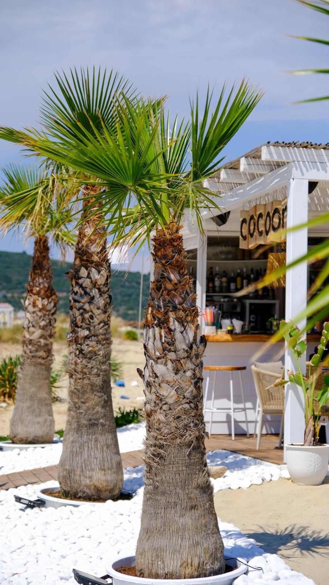 Cocoon Hotel-Beach Bar Сарти Экстерьер фото